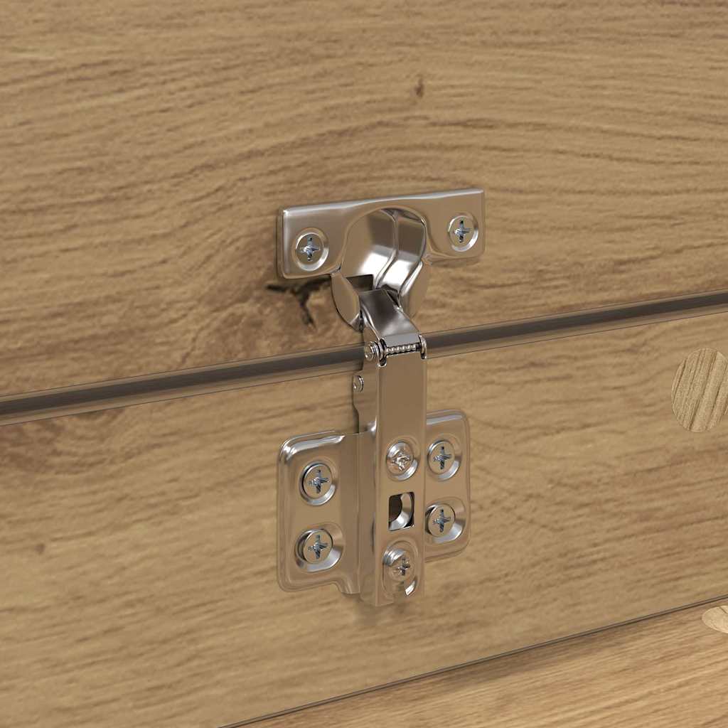 Ντουλάπα Παπουτσιών με συρτάρι Artisan Oak 100,5 x 28 x 100 εκ - Pakobazaar