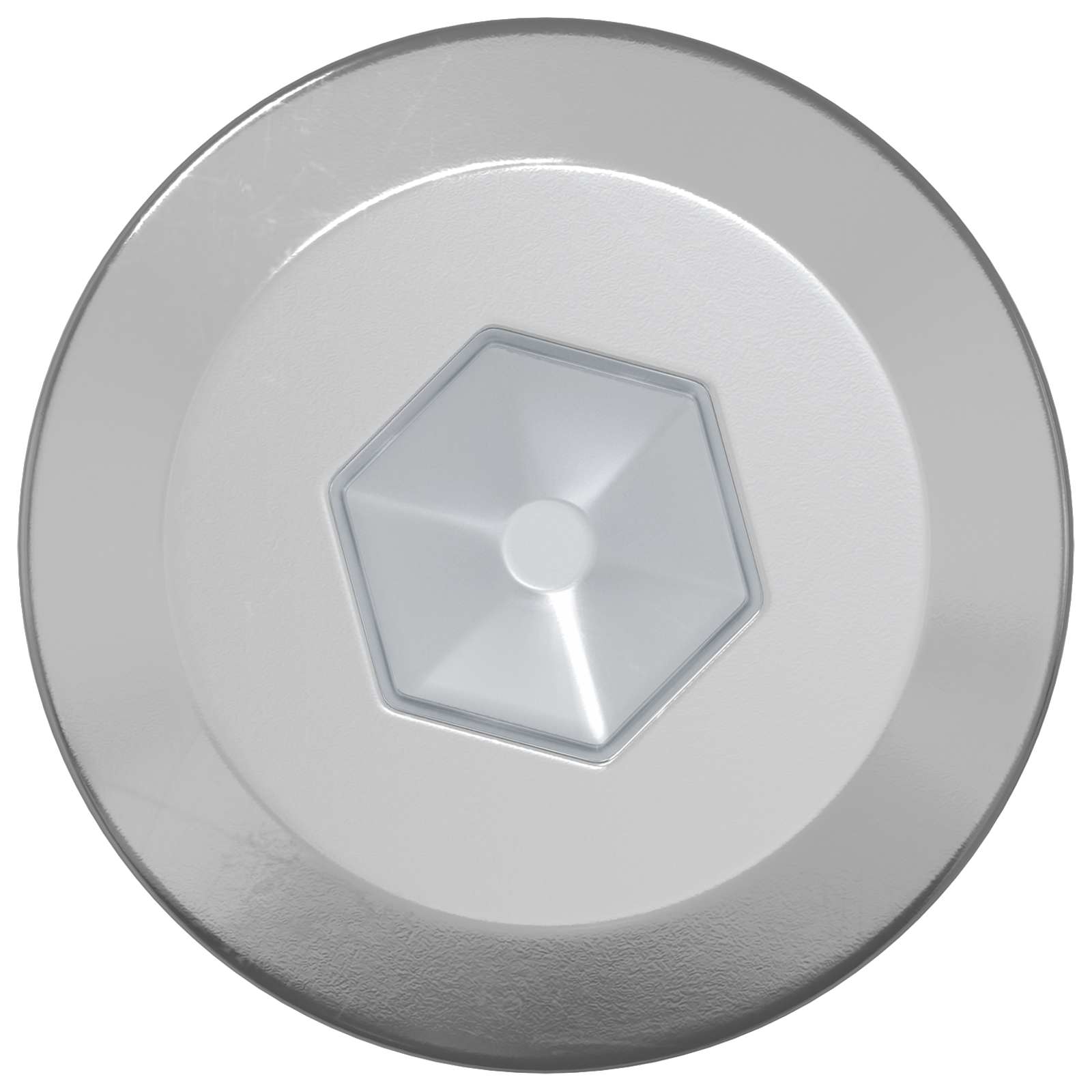 Ξυλοβίδες 12 pcs Ασημί M6 x 70 χιλ. Ατσάλι