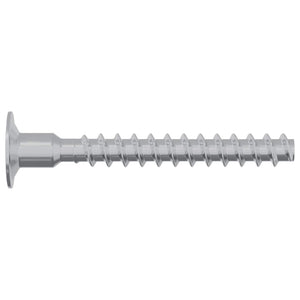 Βίδα 5143 τμχ. Επικαλυμμένο με ψευδάργυρο 5 x 40 mm Σίδερο