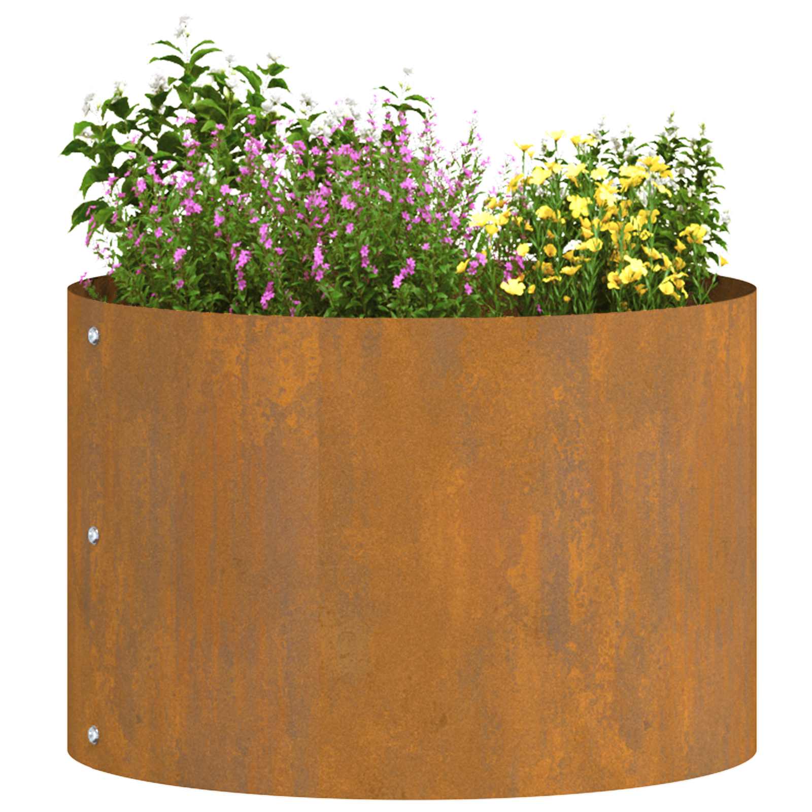 Δακτύλιος γλάστρας 5 pcs Καφέ 30 x 30 x 20 cm - Pakobazaar