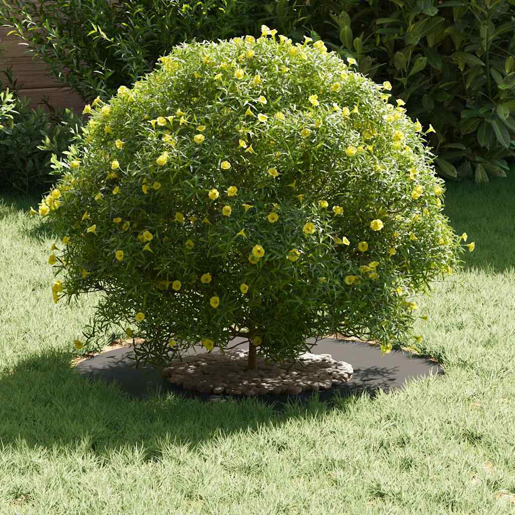 κατάλληλο για δαχτυλίδι επίπεδου δέντρου Μαύρο Ø30 / 60 εκ.