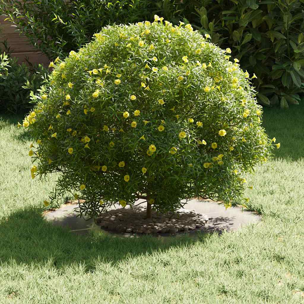 κατάλληλο για δαχτυλίδι επίπεδου δέντρου Ασημί Ø30 / 60 εκ.