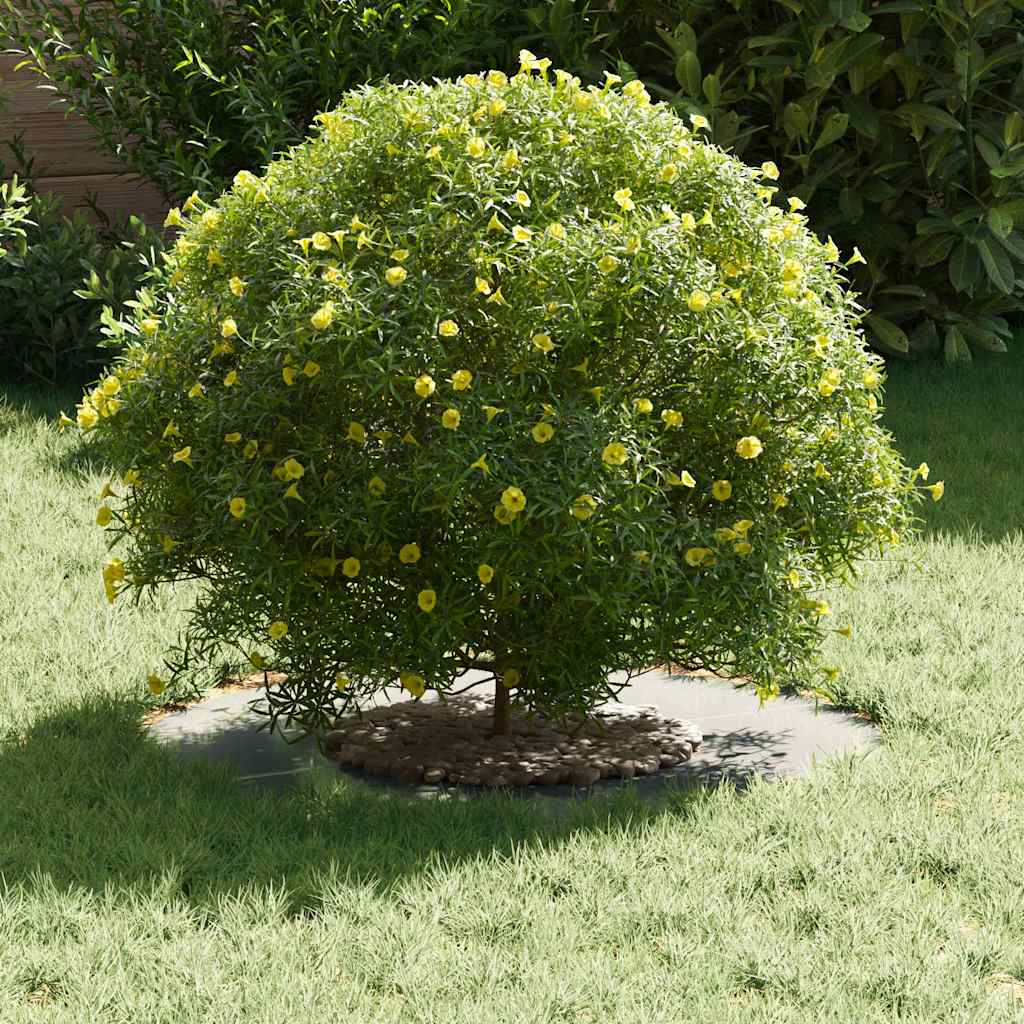 κατάλληλο για δαχτυλίδι επίπεδου δέντρου Ασημί Ø30 / 60 εκ.