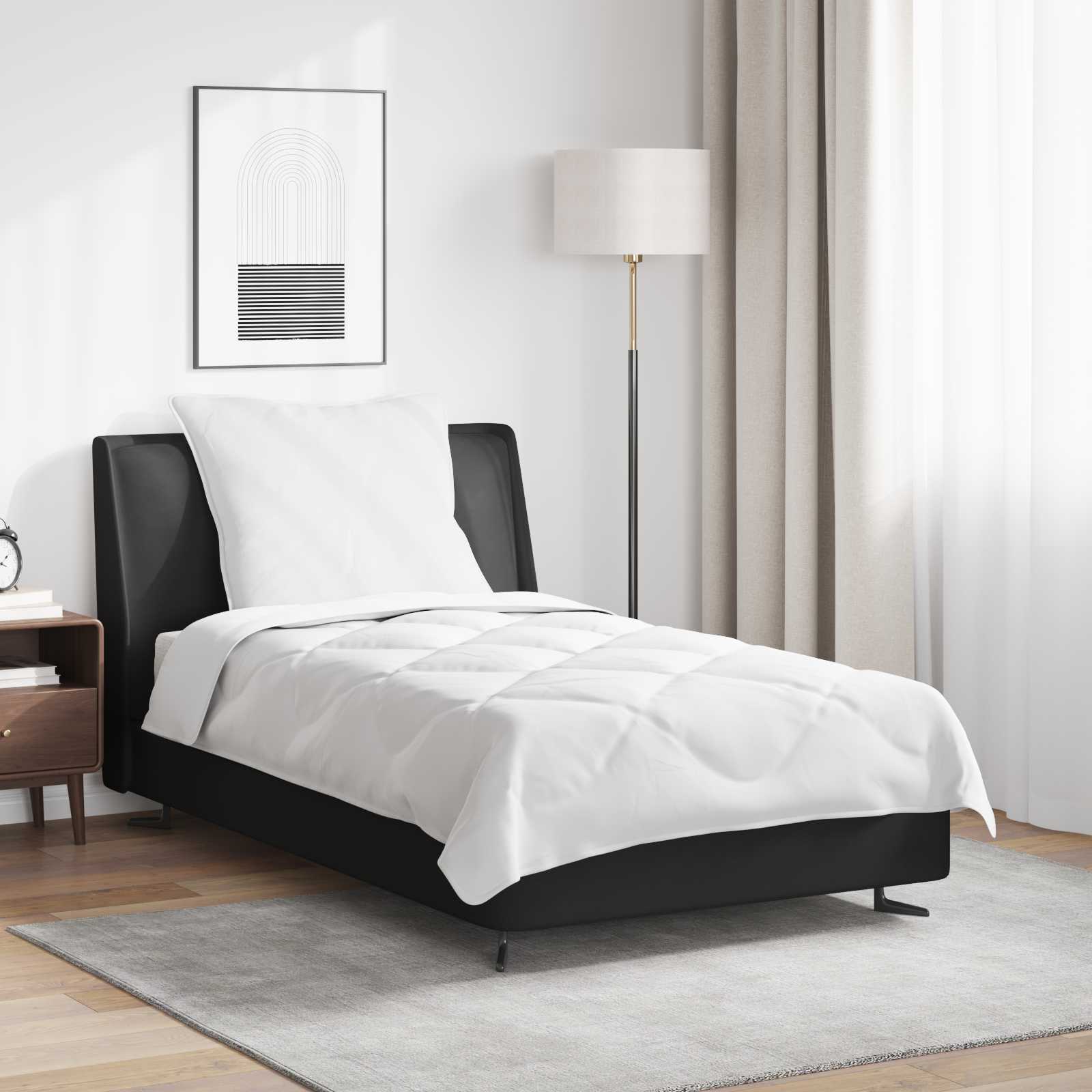 Πάπλωμα με μαξιλάρι 2 pcs Λευκό Μικροΐνες