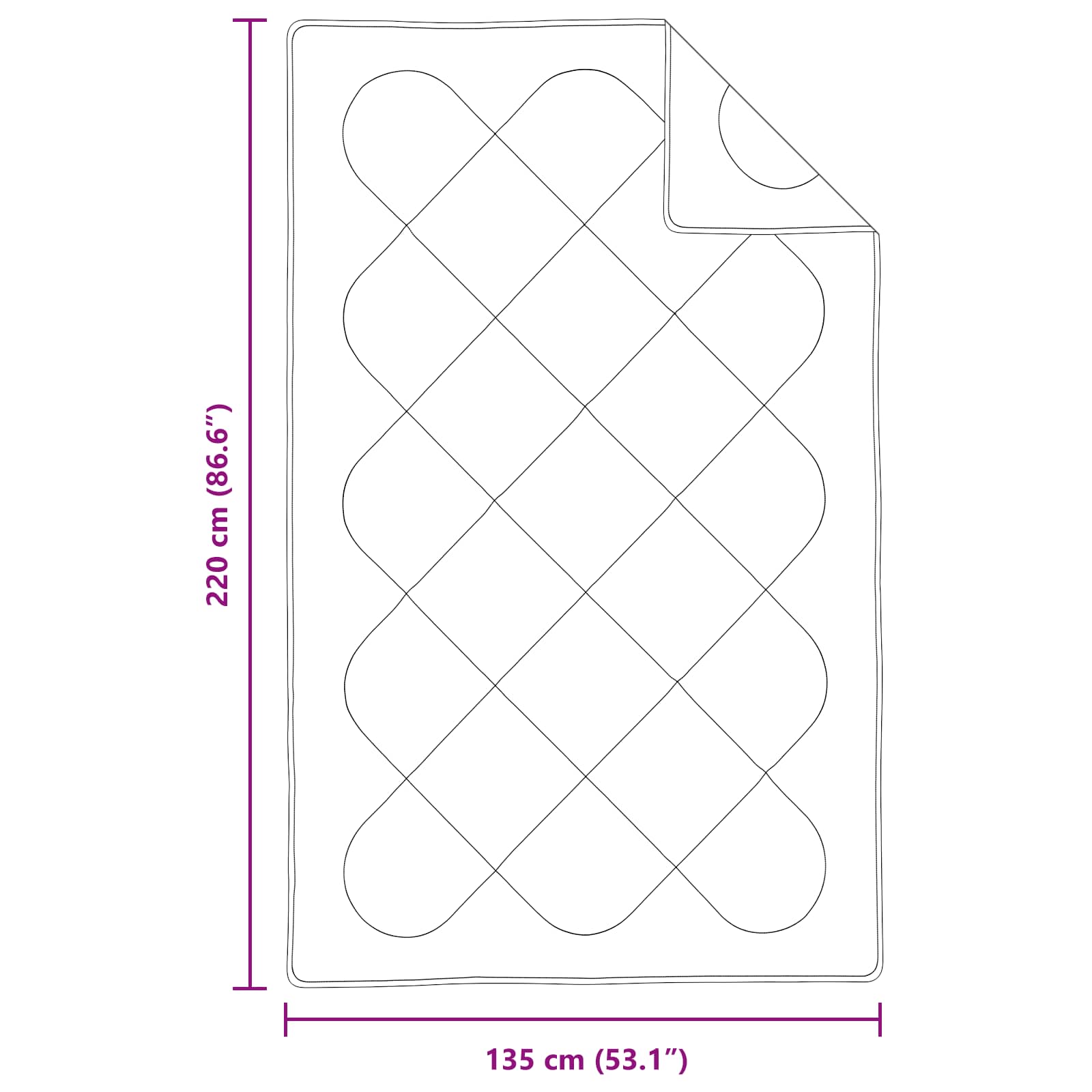 Πάπλωμα με μαξιλάρι 2 pcs Λευκό Μικροΐνες