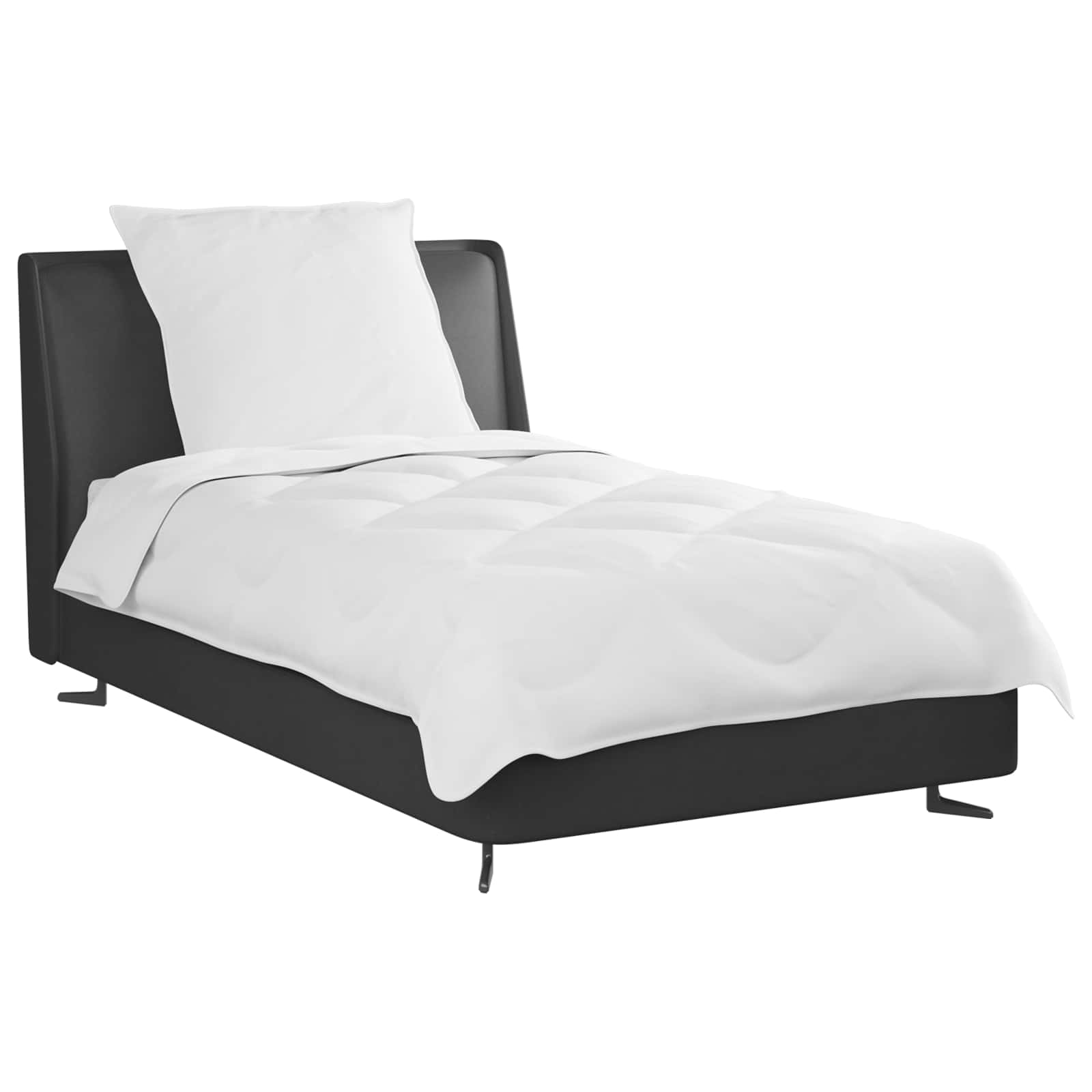 Πάπλωμα με μαξιλάρι 2 pcs Λευκό Μικροΐνες