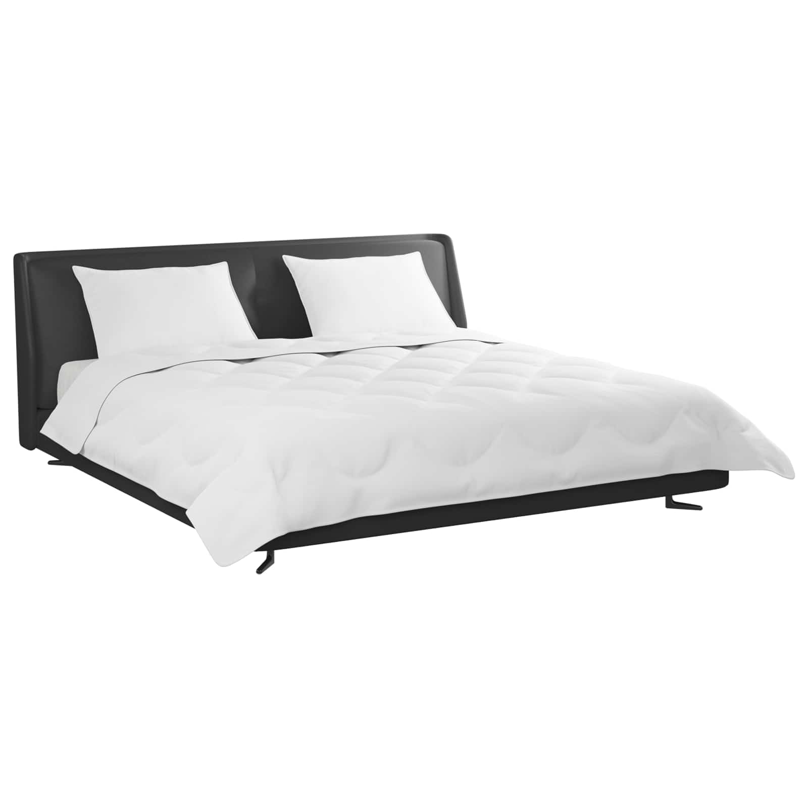 Πάπλωμα με μαξιλάρι 3 pcs Λευκό Μικροΐνες