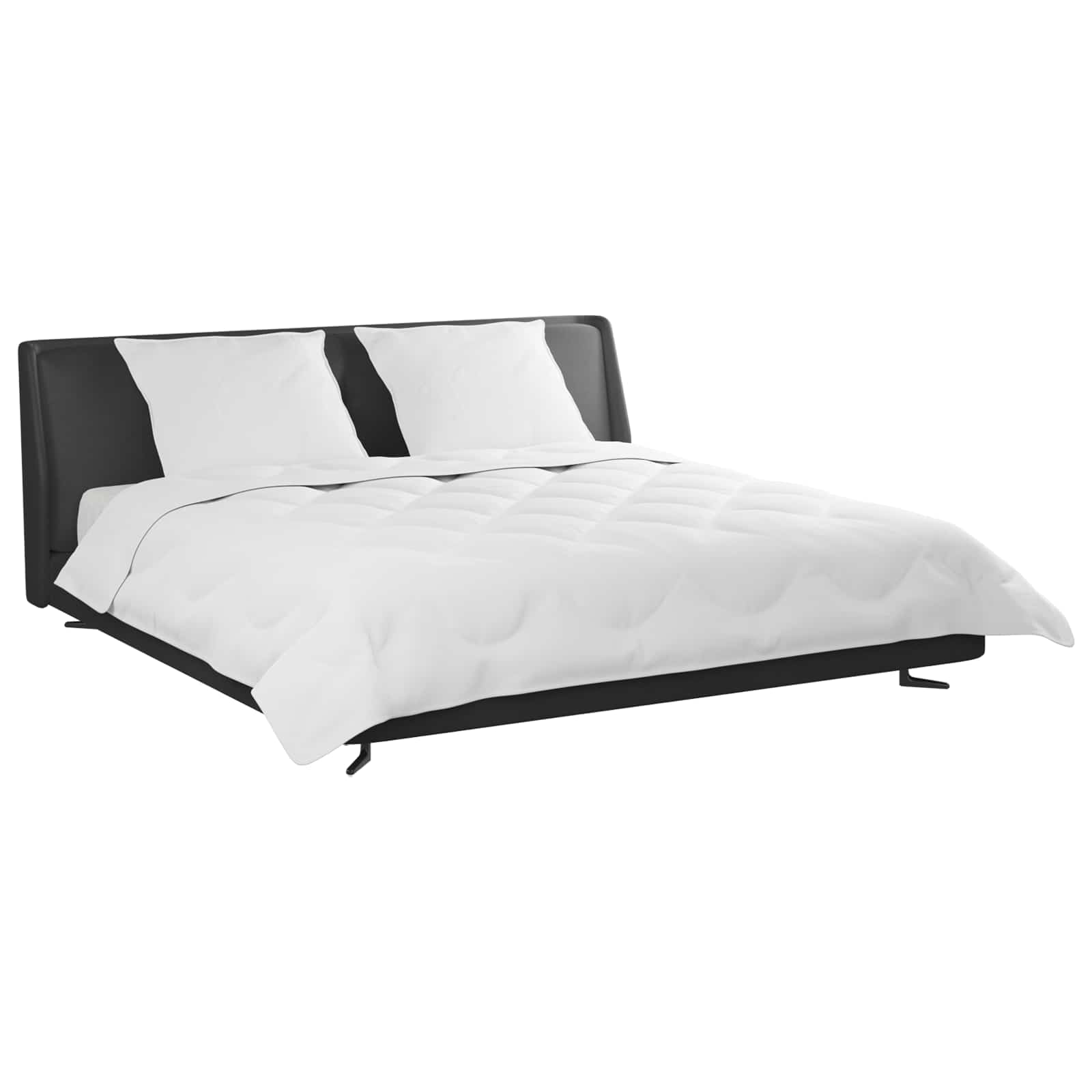 Πάπλωμα με μαξιλάρι 3 pcs Λευκό Μικροΐνες