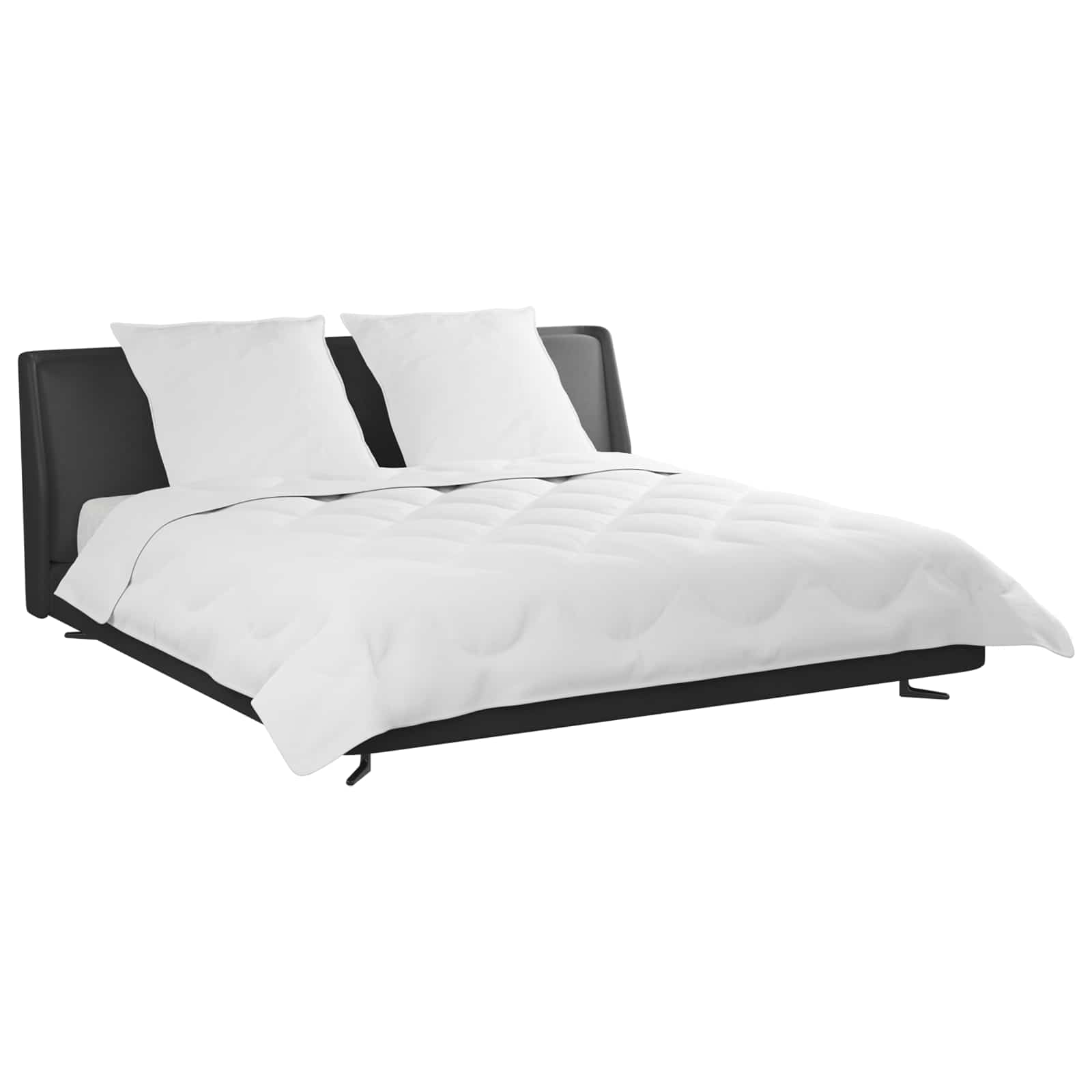 Πάπλωμα με μαξιλάρι 3 pcs Λευκό Μικροΐνες