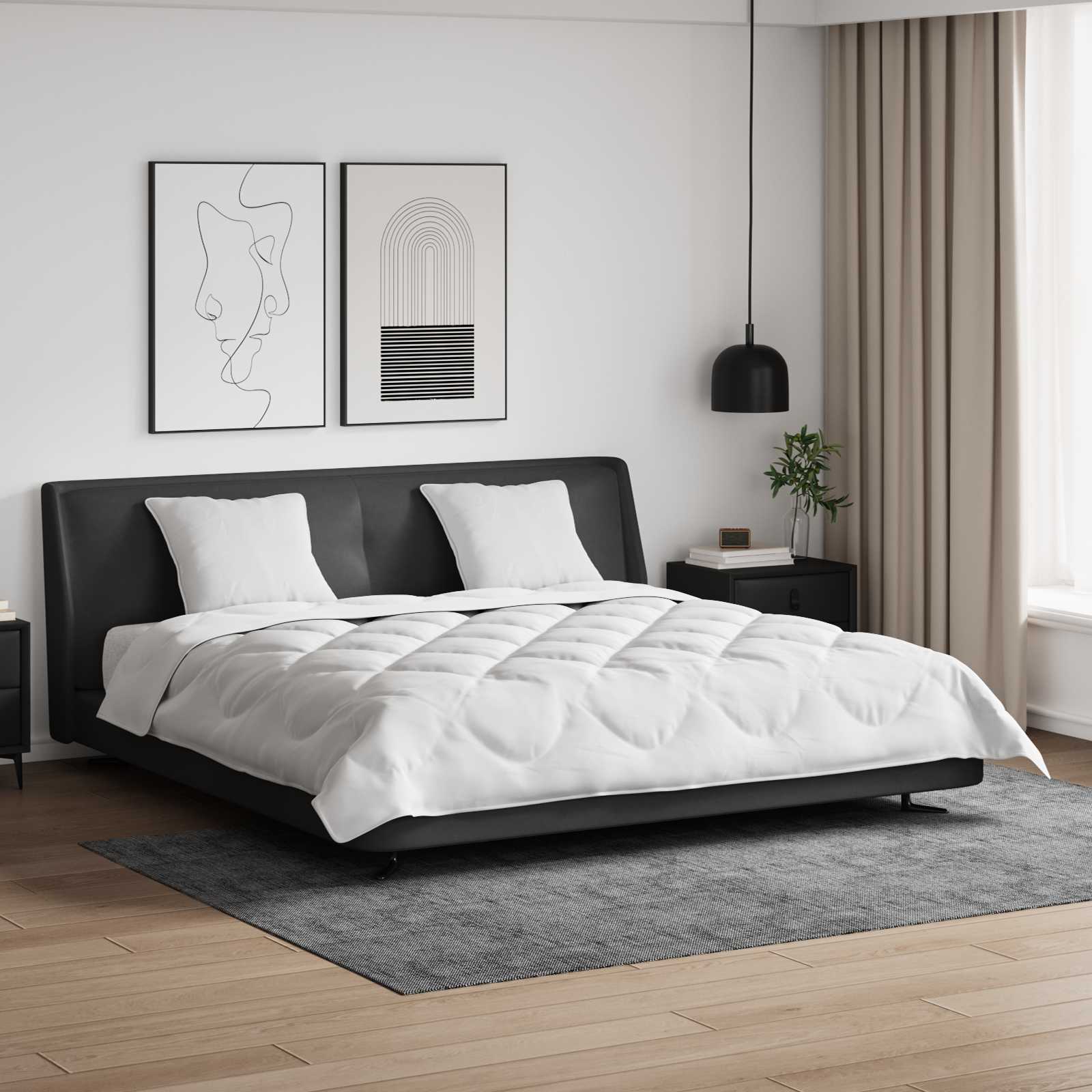 Πάπλωμα με μαξιλάρι 3 pcs Λευκό Μικροΐνες