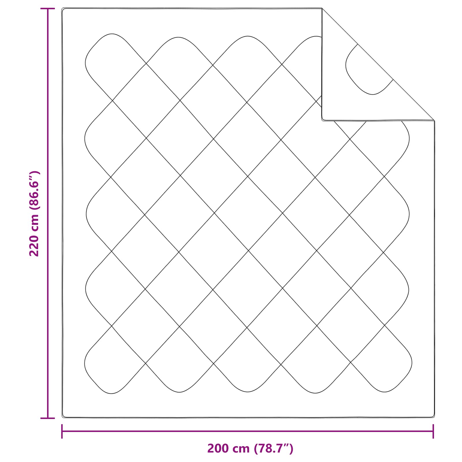 Πάπλωμα με μαξιλάρι 3 pcs Λευκό Μικροΐνες