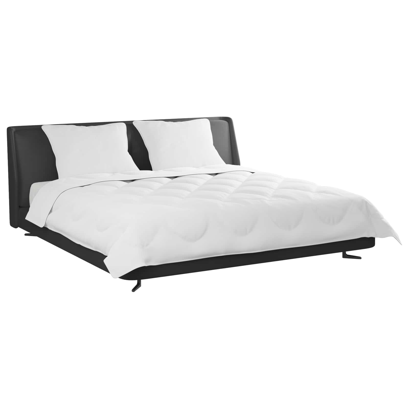 Πάπλωμα με μαξιλάρι 3 pcs Λευκό Μικροΐνες