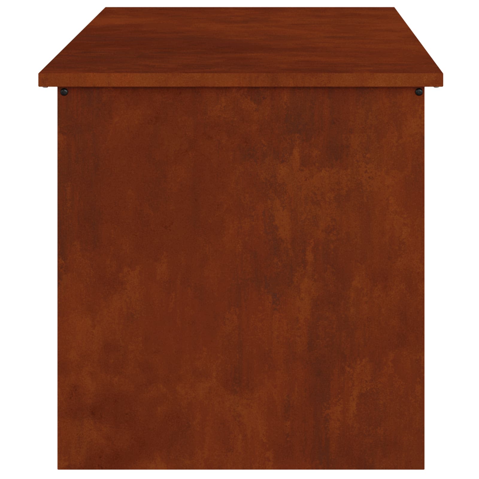 Κουτί αποθήκευσης εξωτερικών χώρων Σκ rusty 100 x 50,5 x 50 εκ. - Pakobazaar