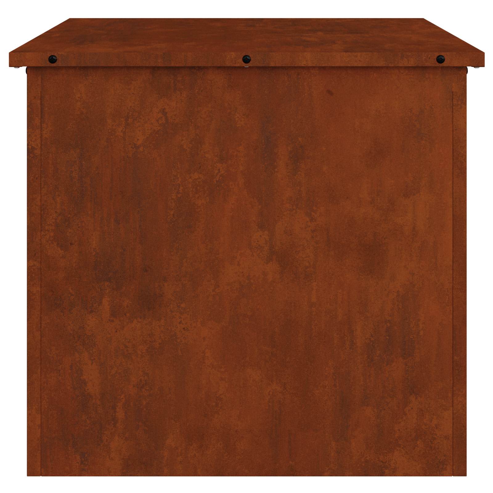 Κουτί αποθήκευσης εξωτερικών χώρων Σκ rusty 55 x 50,5 x 50 εκ.