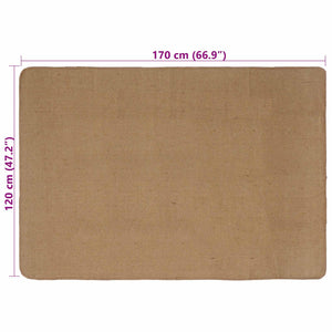 Χαλί Περιοχής Ανοιχτό καφέ 120 x 170 cm Γιούτα - Pakobazaar