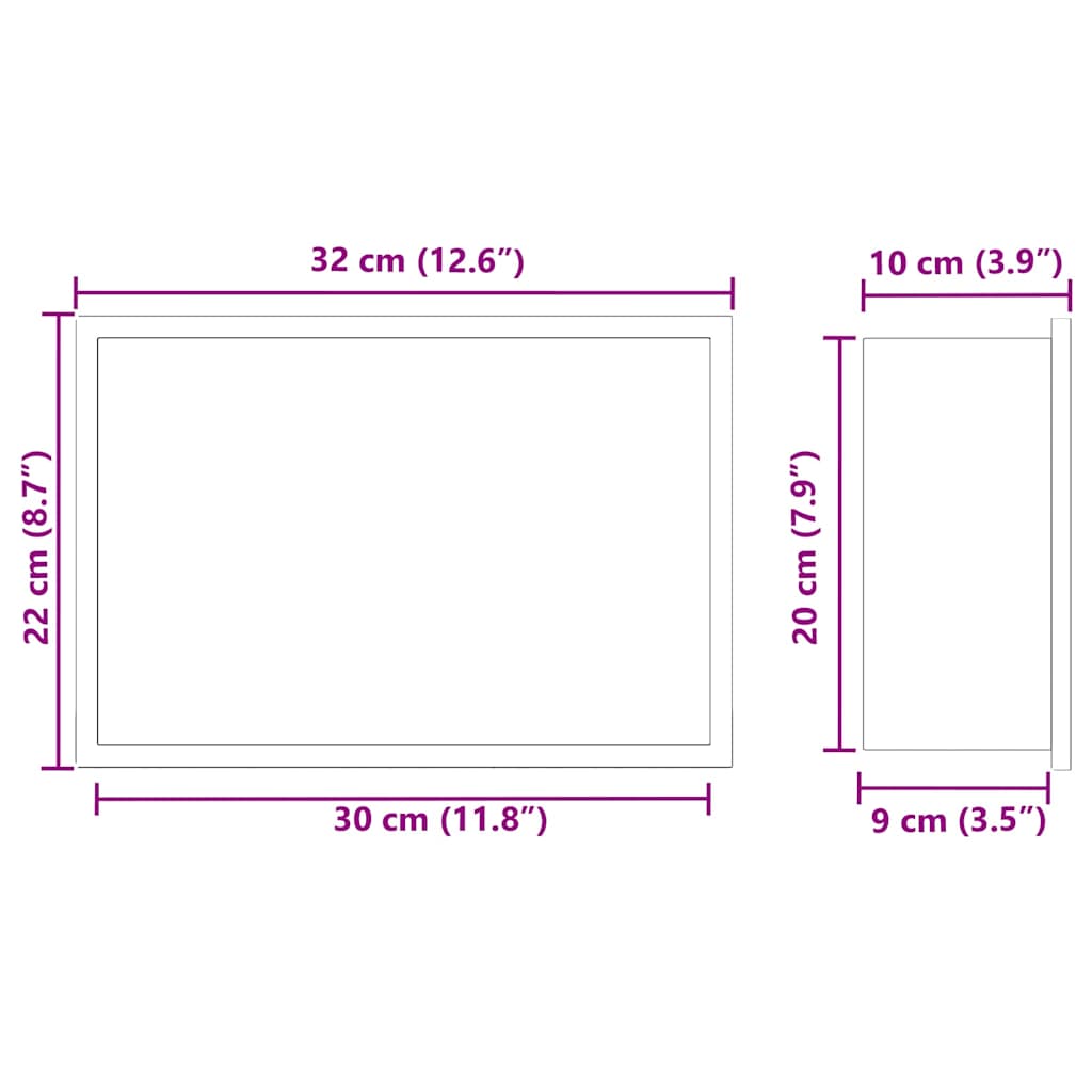 Νίτσα Μπάνιου Ασημί 30 x 20 x 9,5 εκ. Ανοξείδωτο ατσάλι