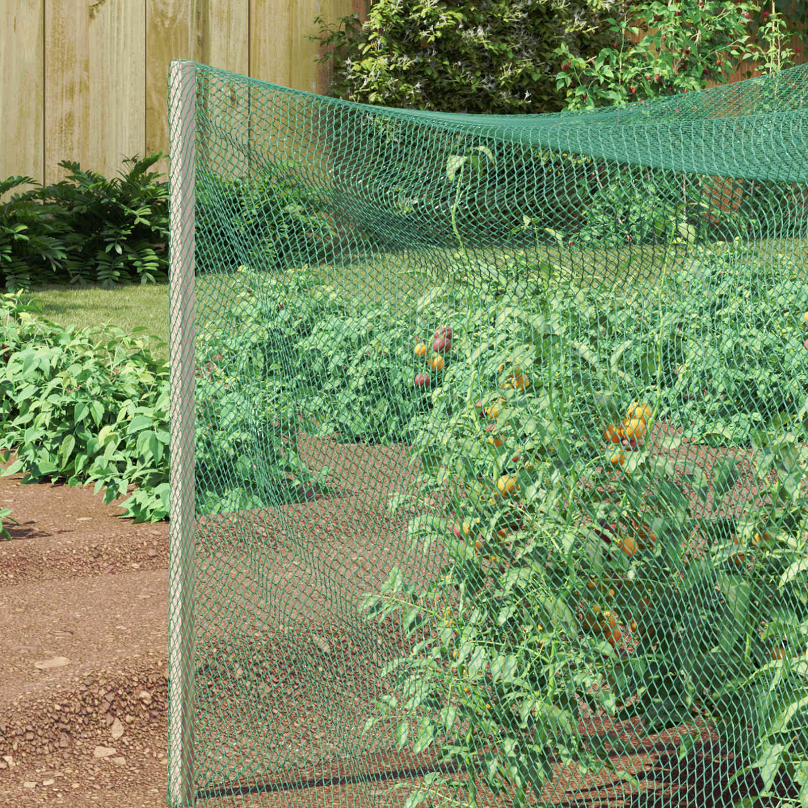 Δίχτυ Προστασίας για Πουλιά Πράσινο 4 x 25 μ Πολυαιθυλένιο