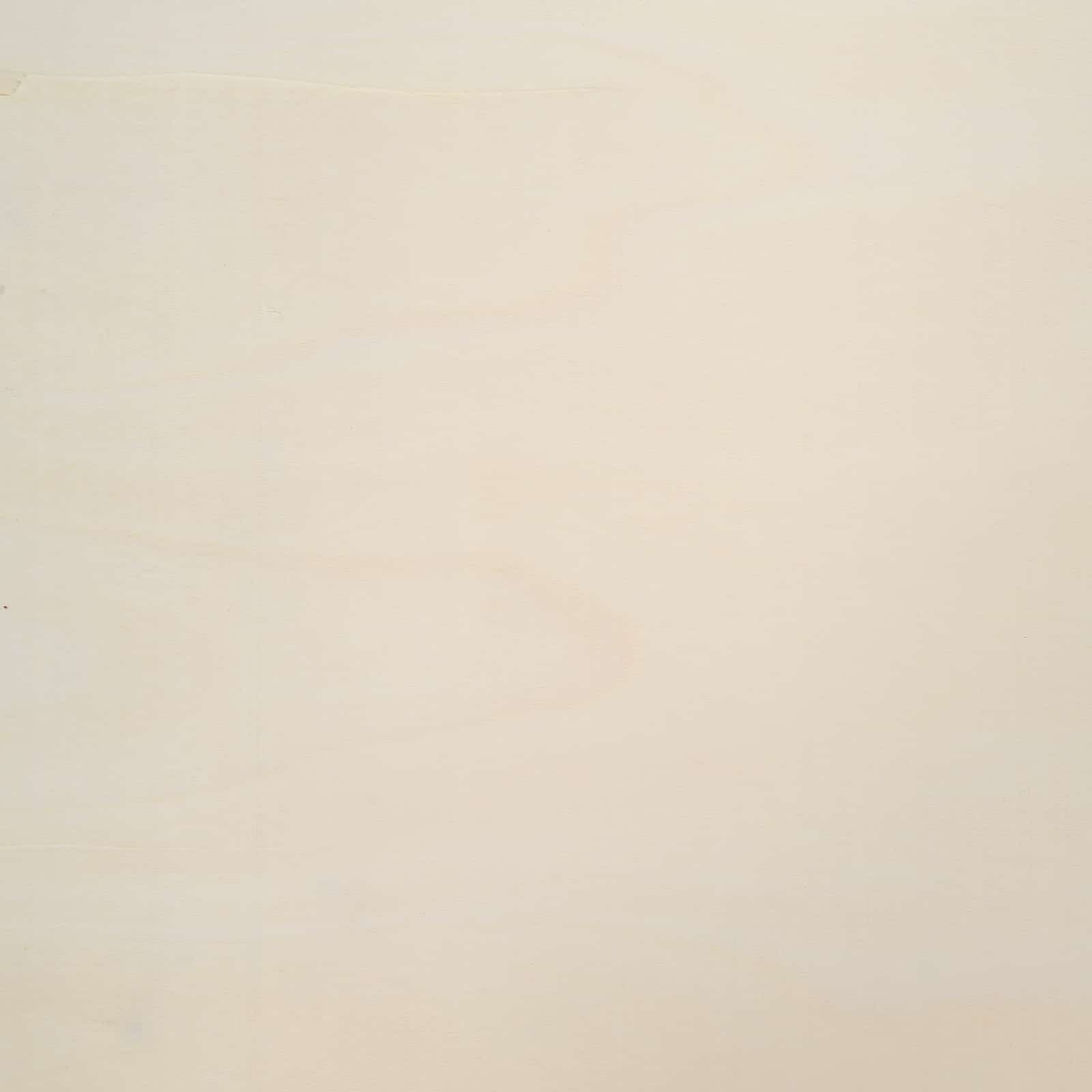 Κάθετο Εκθετήριο Τοίχου Επιτοίχιο Μπεζ 60 x 8,5 x 37 εκ. - Pakobazaar