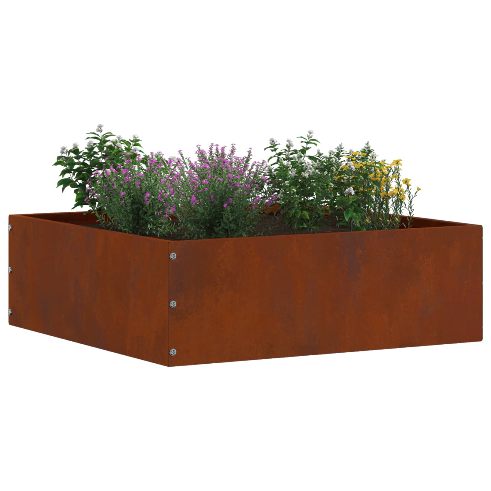 Περίγραμμα γκαζόν 6 pcs Σκ rusty 40 x 40 x 13 cm