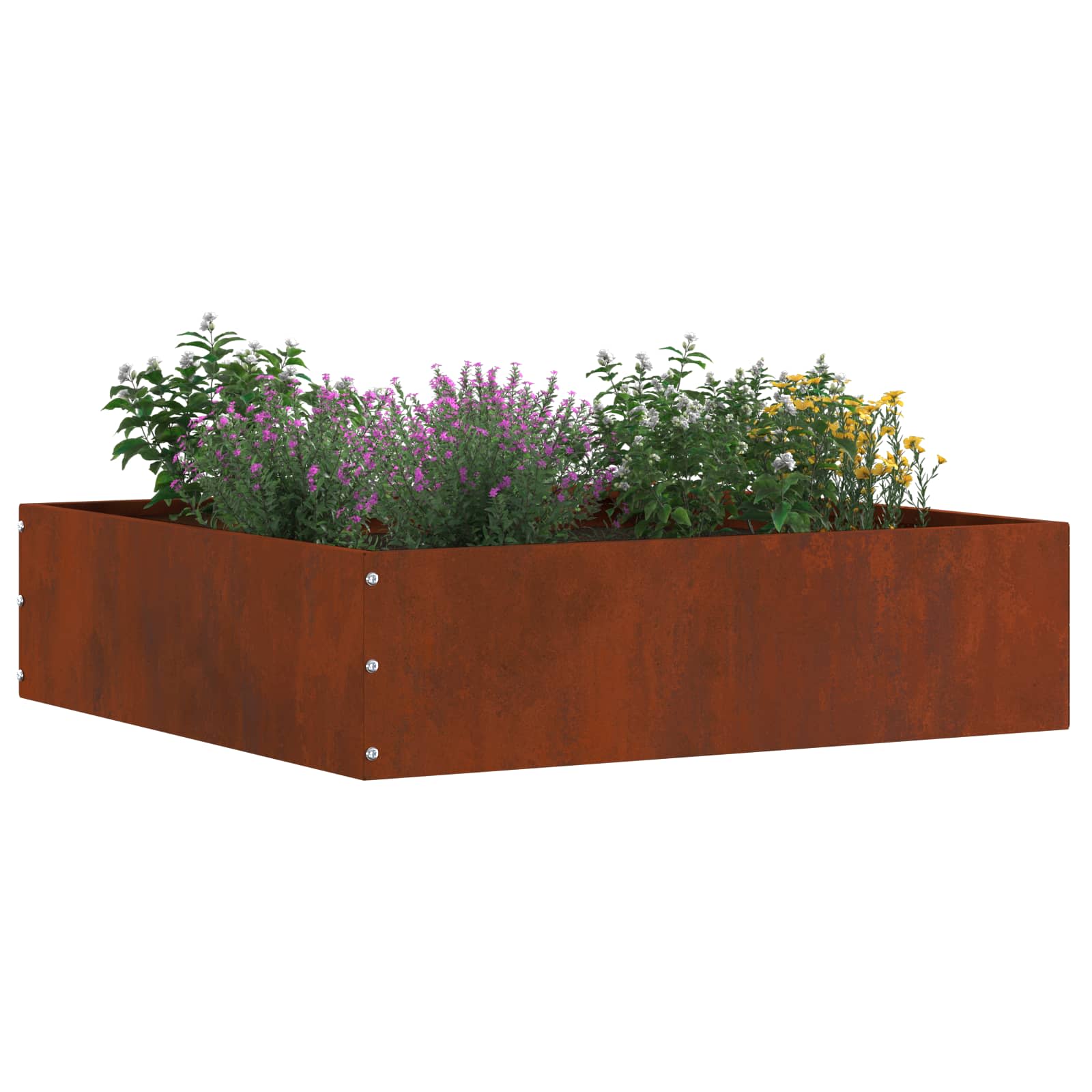 Περίγραμμα γκαζόν 6 pcs Σκ rusty 50 x 50 x 13 εκ