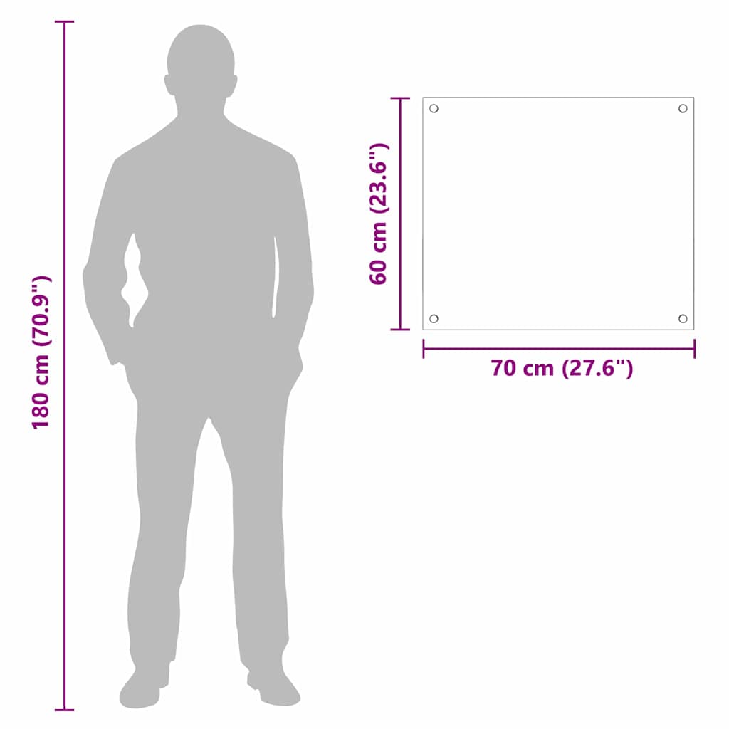 Πλάτη κουζίνας Διαφανές 70 x 60 cm σκληρυμένο γυαλί