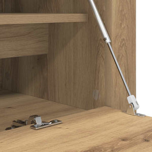 Ντουλάπα Παπουτσιών με ράφι artisan δρυς 100 x 35 x 38 εκ. - Pakobazaar