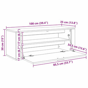 Ντουλάπα Παπουτσιών 100 x 35 x 38 εκ. Επεξεργασμένο Ξύλο