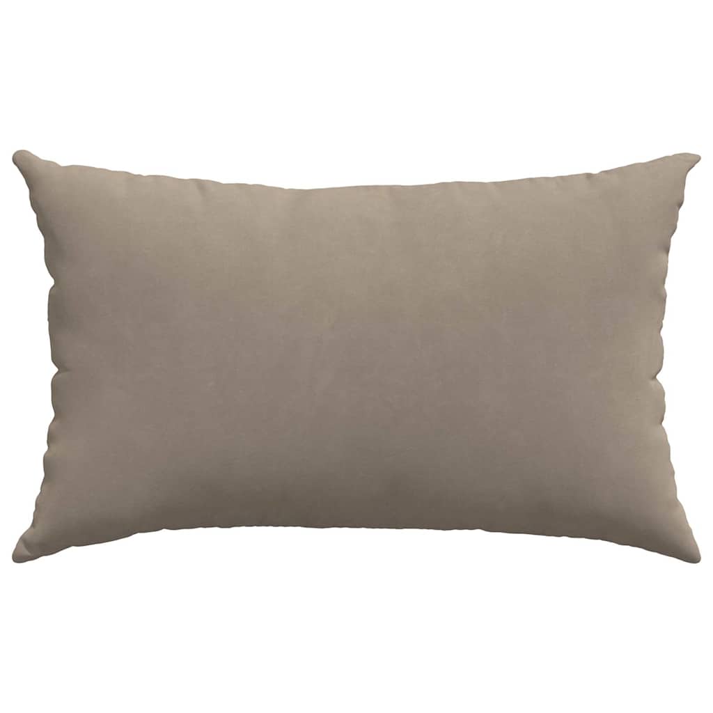 Μαξιλάρι Καναπέ 2 pcs Taupe 50 x 30 cm ύφασμα