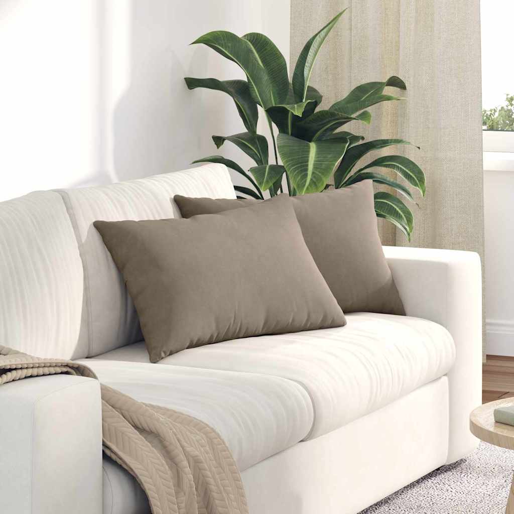 Μαξιλάρι Καναπέ 2 pcs Taupe 60 x 40 cm ύφασμα