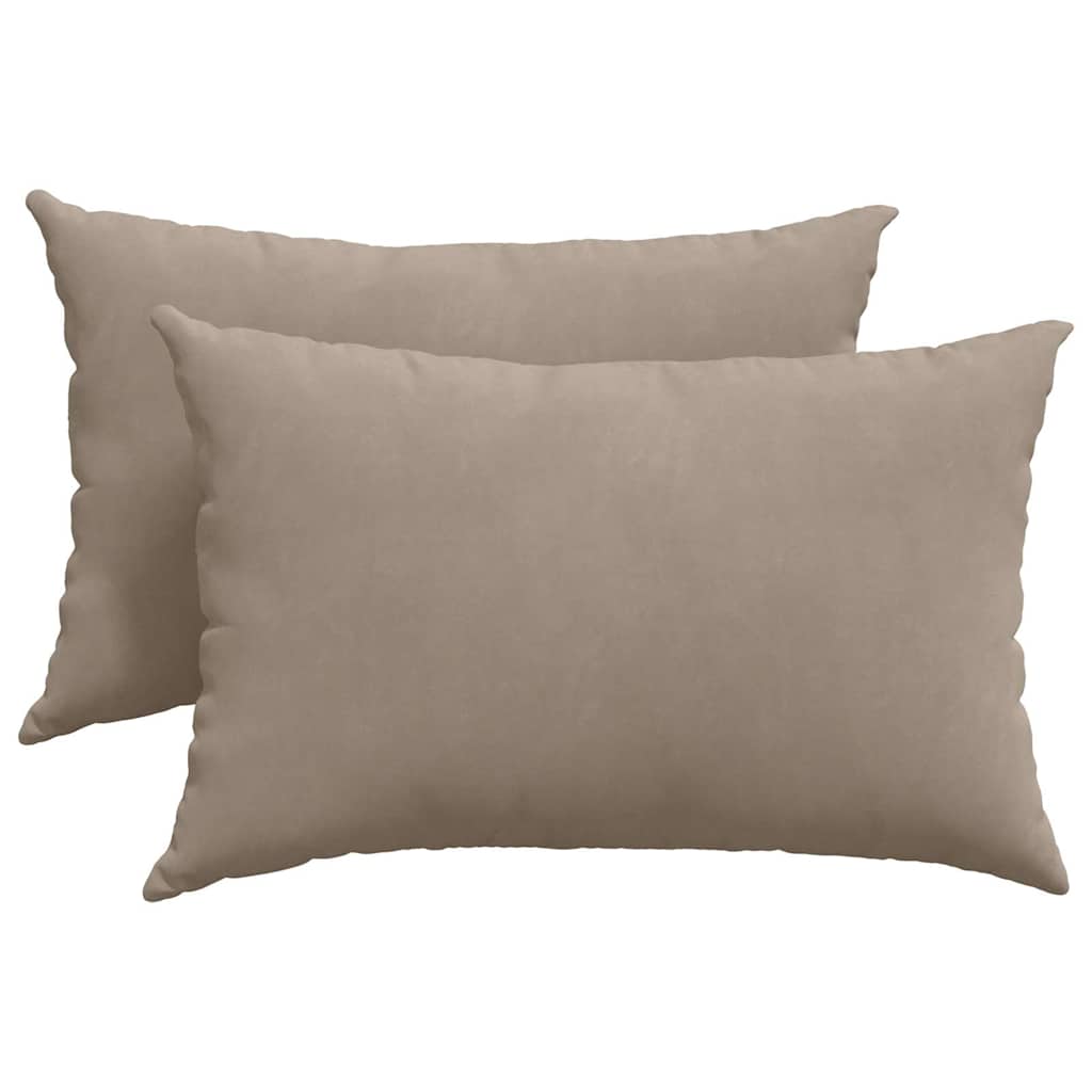 Μαξιλάρι Καναπέ 2 pcs Taupe 60 x 40 cm ύφασμα