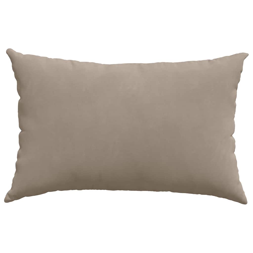 Μαξιλάρι Καναπέ 2 pcs Taupe 60 x 40 cm ύφασμα