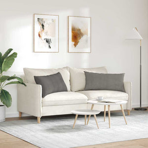 Μαξιλάρι Καναπέ 2 pcs Ανοιχτό γκρι 80 x 40 cm