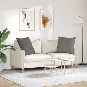 Μαξιλάρι Καναπέ 2 pcs Ανοιχτό γκρι 80 x 80 cm