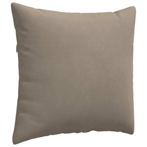 Μαξιλάρι Καναπέ 2 τμχ. ύφασμα Taupe 50 x 50 cm