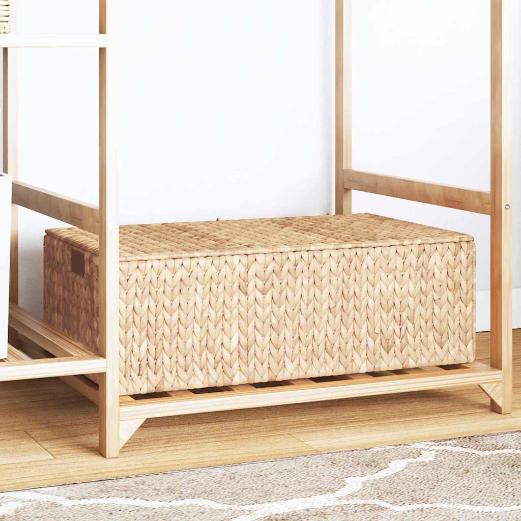 Κουτί αποθήκευσης Φυσικό 60 x 38 x 20 εκ Υάκινθος νερού - Pakobazaar