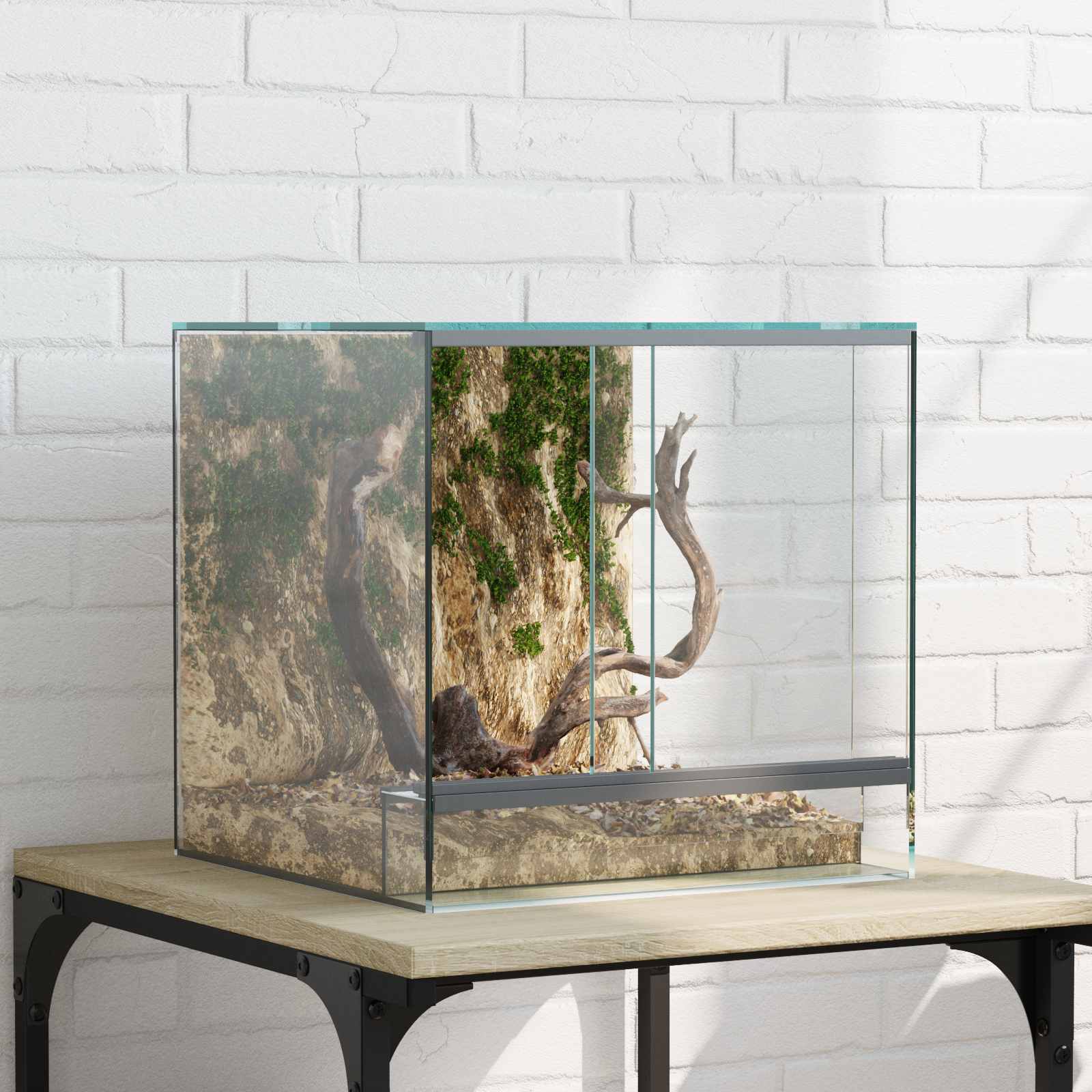 Terrarium με αποθήκευση Διαφανές 30 x 30 x 30 cm Γυαλί - Pakobazaar