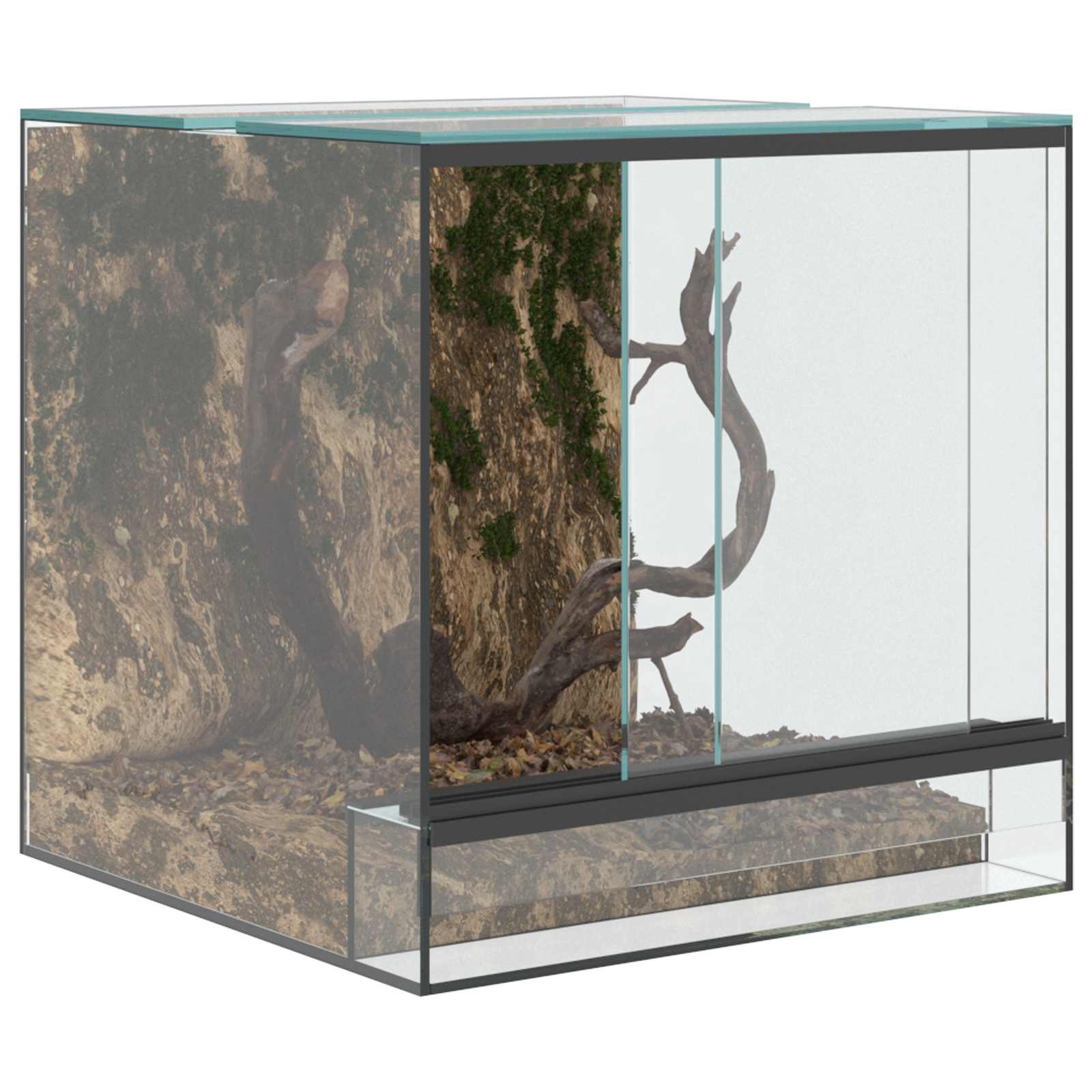 Terrarium με αποθήκευση Διαφανές 30 x 30 x 30 cm Γυαλί - Pakobazaar