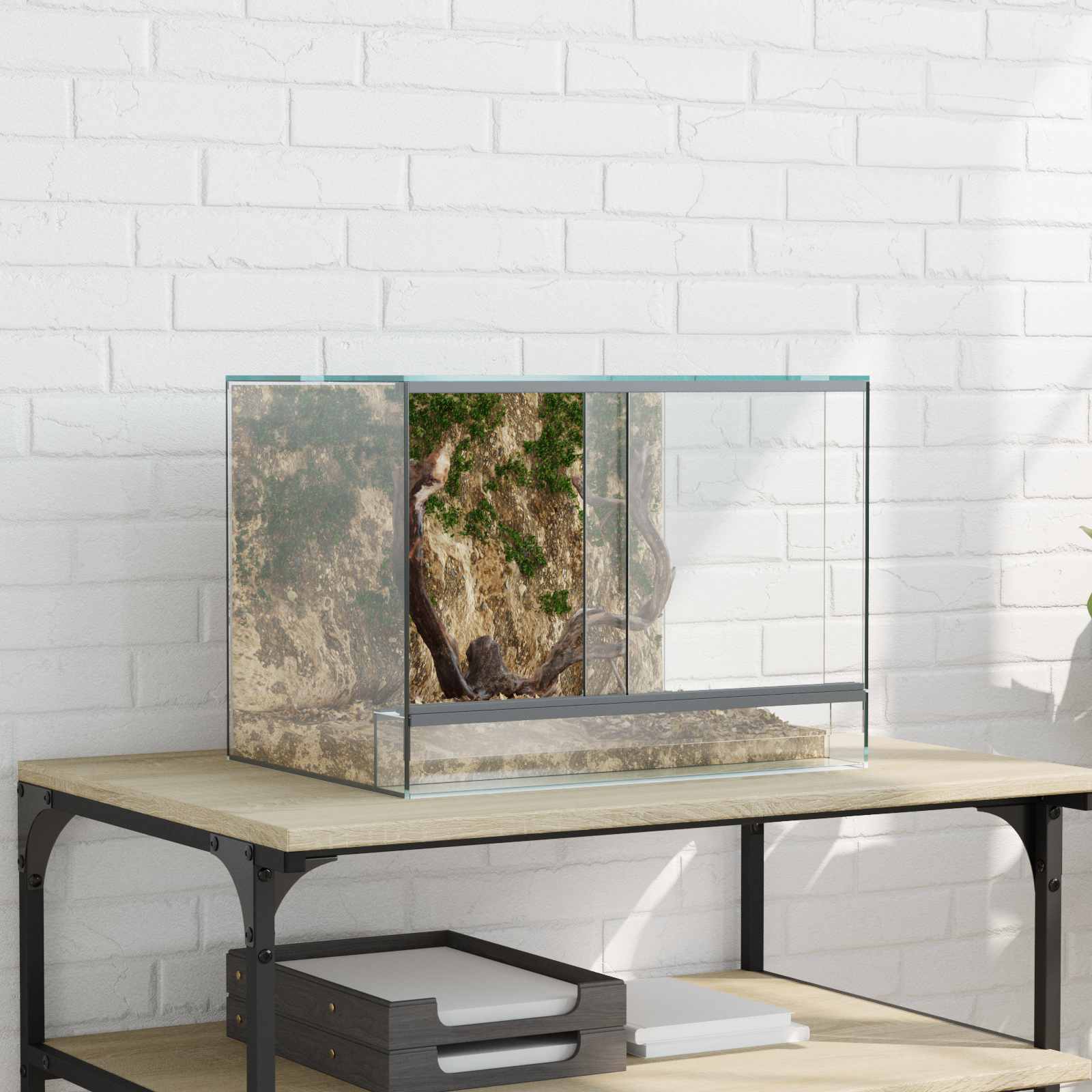 Terrarium με αποθήκευση Διαφανές 40 x 30 x 30 εκ Γυαλί - Pakobazaar