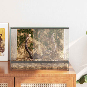 Terrarium με αποθήκευση Διαφανές 40 x 30 x 30 εκ Γυαλί - Pakobazaar
