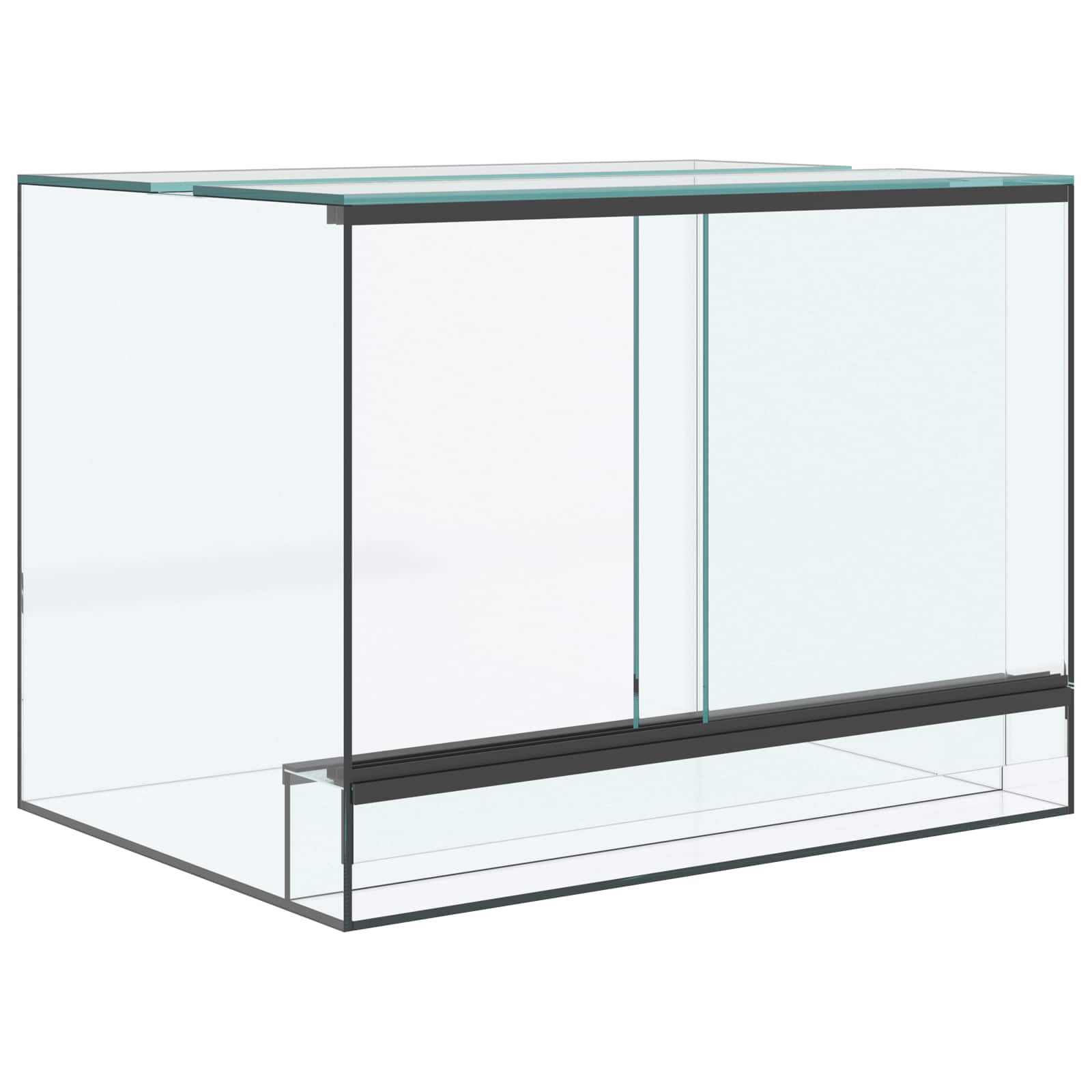 Terrarium με αποθήκευση Διαφανές 40 x 30 x 30 εκ Γυαλί - Pakobazaar