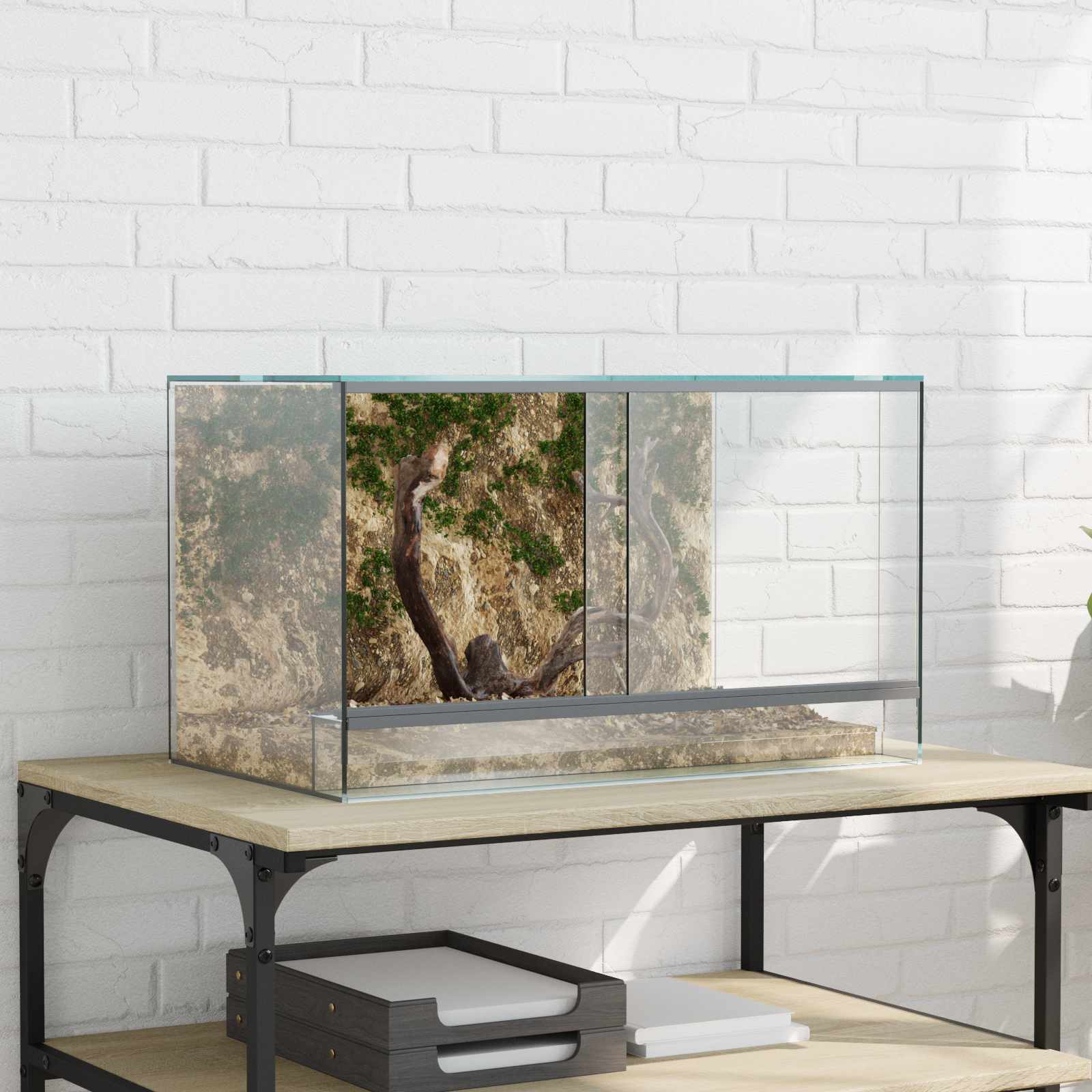 Terrarium με αποθήκευση Διαφανές 50 x 30 x 30 εκ. Γυαλί - Pakobazaar