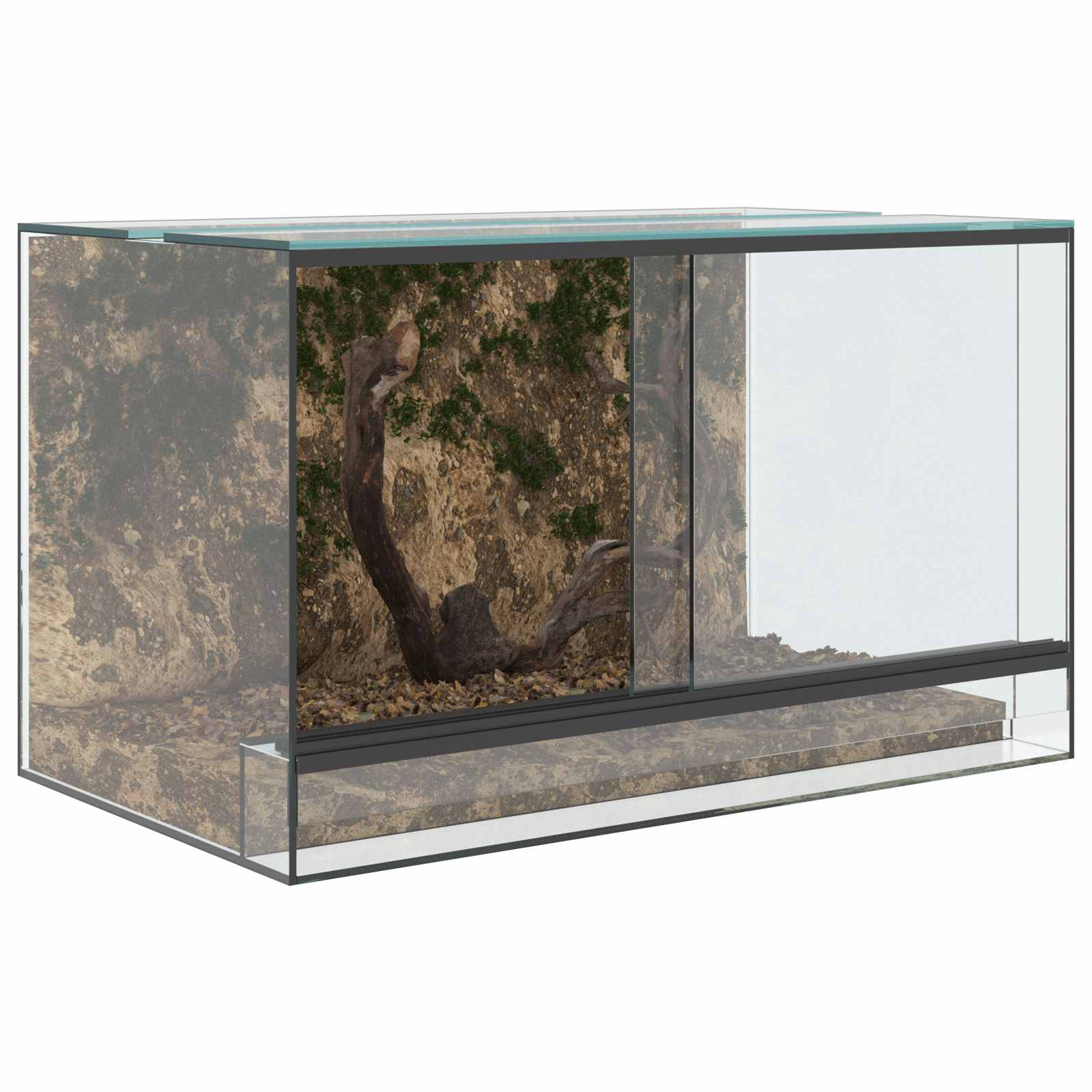 Terrarium με αποθήκευση Διαφανές 50 x 30 x 30 εκ. Γυαλί - Pakobazaar