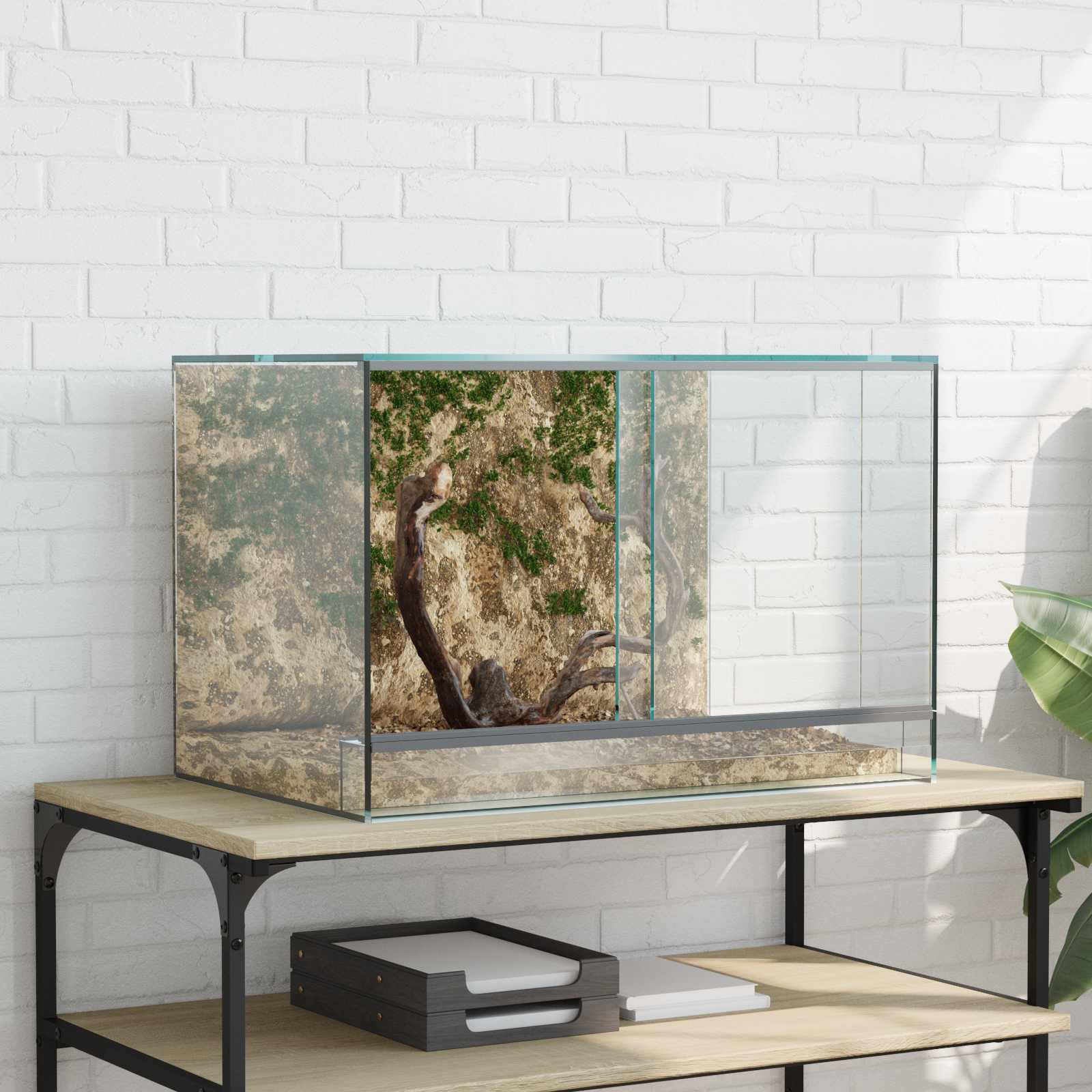 Terrarium με αποθήκευση Διαφανές 60 x 40 x 40 εκ. Γυαλί - Pakobazaar