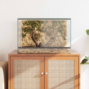 Terrarium με αποθήκευση Διαφανές 60 x 40 x 40 εκ. Γυαλί - Pakobazaar