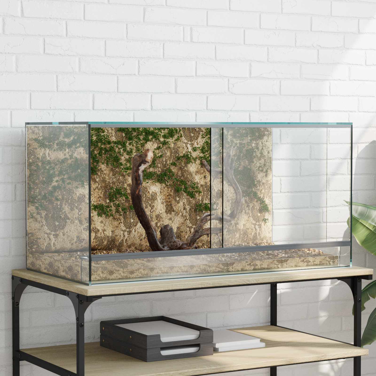 Terrarium με αποθήκευση Διαφανές 80 x 40 x 40 cm Γυαλί - Pakobazaar