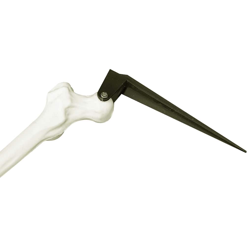 Σκελετός Halloween Λευκό 45,5 x 13 εκ Πλαστικό