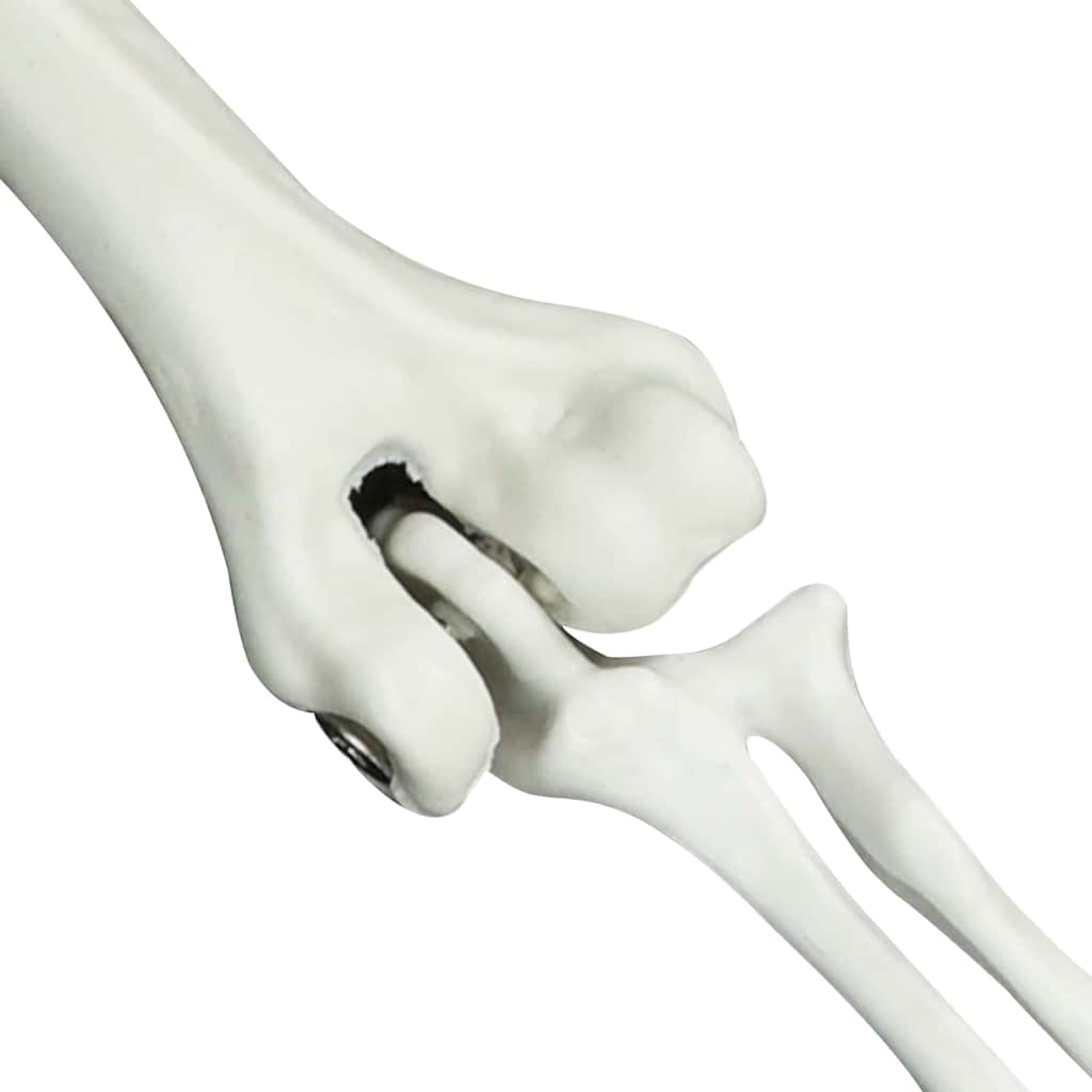 Σκελετός Halloween Λευκό 45,5 x 13 εκ Πλαστικό