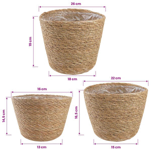 Καλάθια φυτών από θαλασσόχορτο 3 pcs Φυσικό Ø26 x 19 εκ. - Pakobazaar