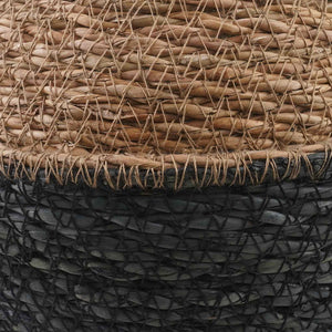 Γλάστρα με Χερούλια 2 pcs Μαύρο Ø 22 x 20 cm 100% Θαλασσόχορτο - Pakobazaar