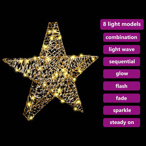 3D Αστέρι με 50 LED Θερμό λευκό 55 x 52.5 x 9 εκ PET - Pakobazaar
